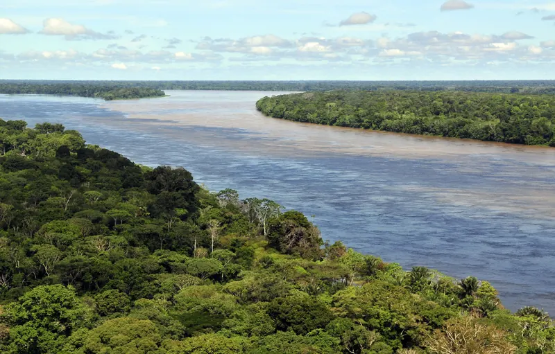 Rio e floresta amazônica
